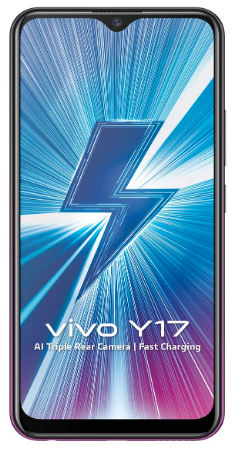 Vivo Y 17 image