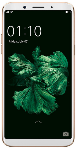 Oppo F F5 image